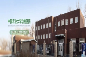 中国农业大学动物医院