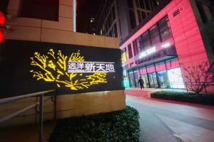 远洋集团服务项目