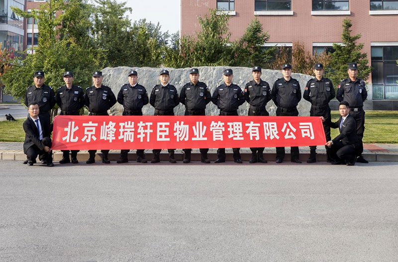 图片11