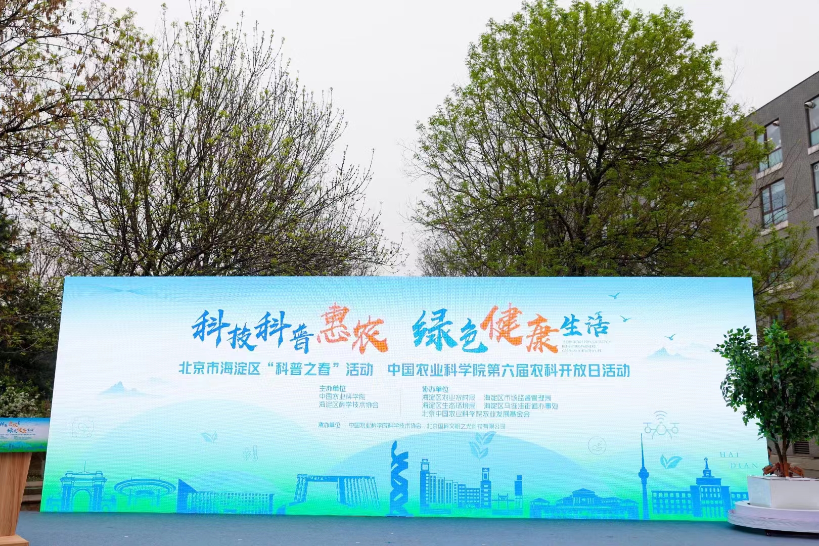 活动开始
