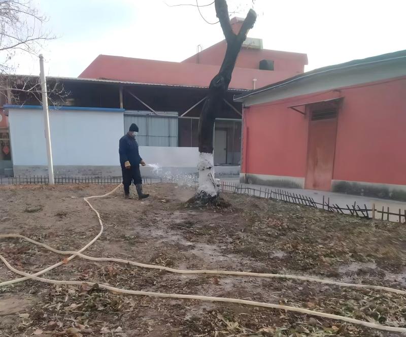 微信图片_20241128143302